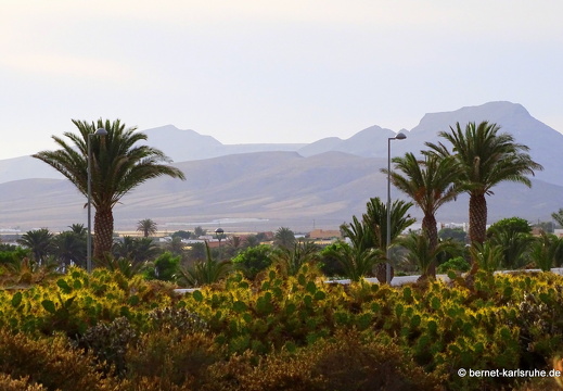 23-11-21-antigua-057