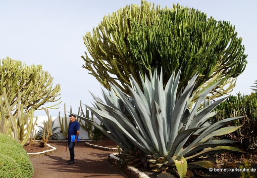 23-11-21-antigua-174