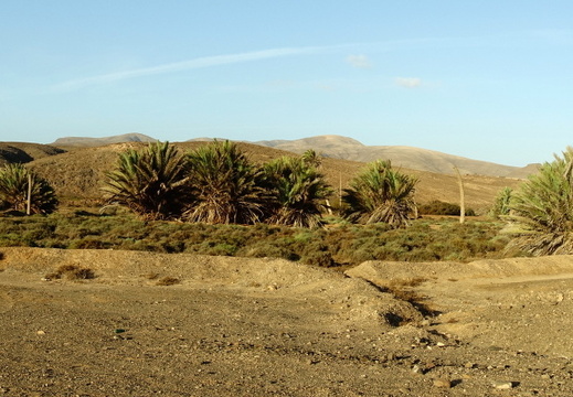 23-11-23-las salinas del carmen-077