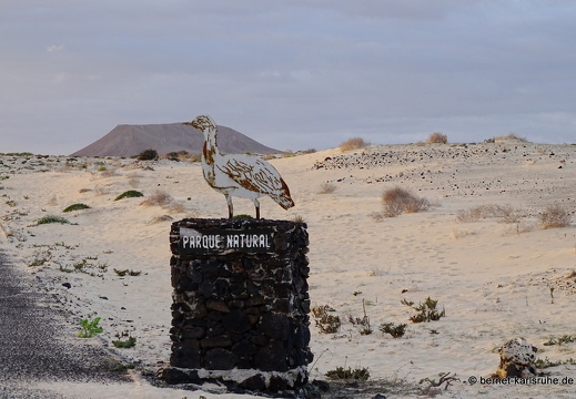 23-11-25-corralejo-duenen-032