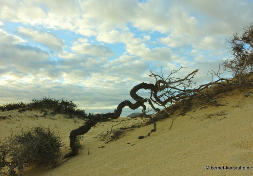 23-11-25-corralejo-duenen-051