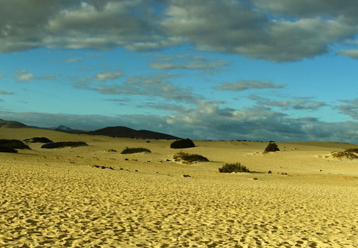 23-11-25-corralejo-duenen-089