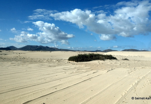 23-11-25-corralejo-duenen-151