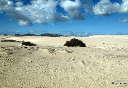23-11-25-corralejo-duenen-152
