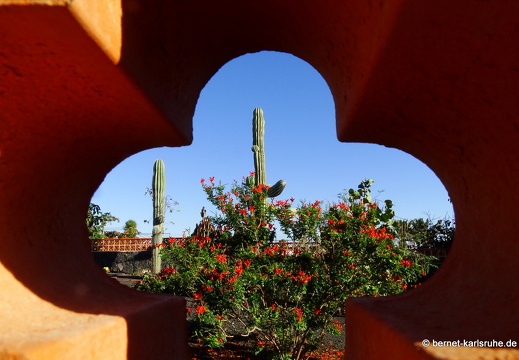 23-11-28-villaverde-laoliva-059