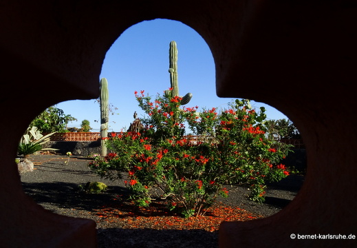 23-11-28-villaverde-laoliva-060