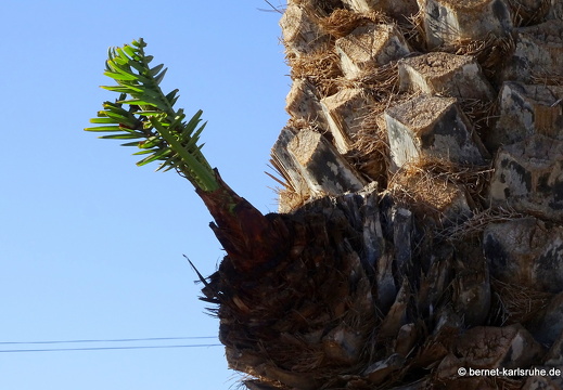 23-11-28-villaverde-laoliva-103