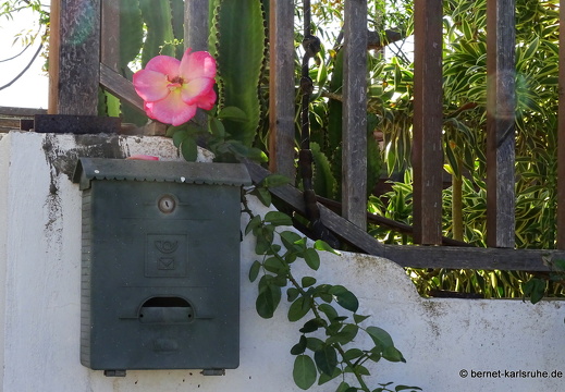 23-11-28-villaverde-laoliva-120