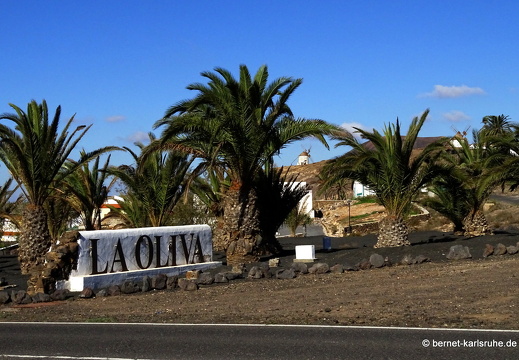 23-11-28-villaverde-laoliva-161