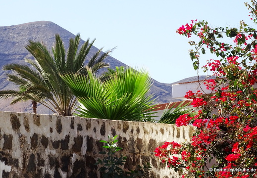 23-11-28-villaverde-laoliva-222