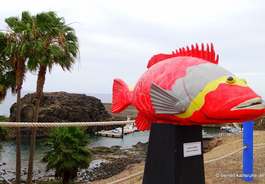 23-11-30-el cotillo-023