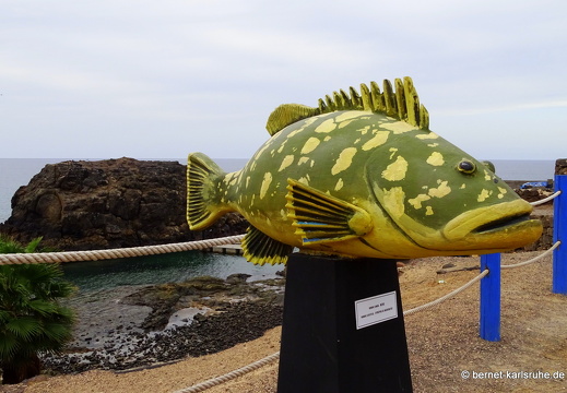 23-11-30-el cotillo-024