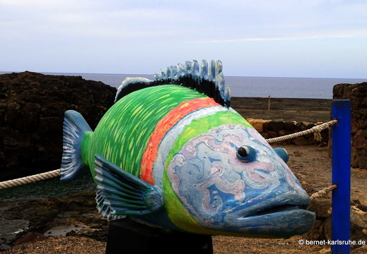 23-11-30-el cotillo-027