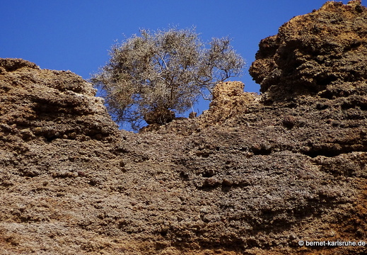 24-02-04-tahiche-lawoerden-vulkan-krater-061