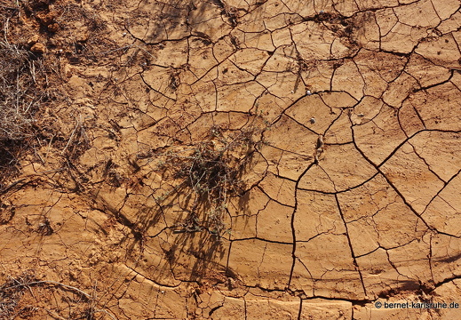 24-03-07-tahiche-las cabreras-003