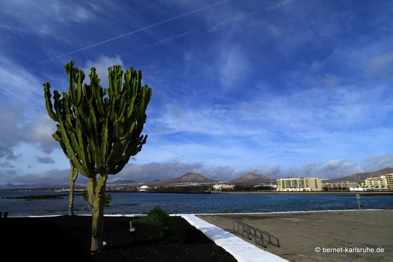 24-02-10-arrecife-072.JPG