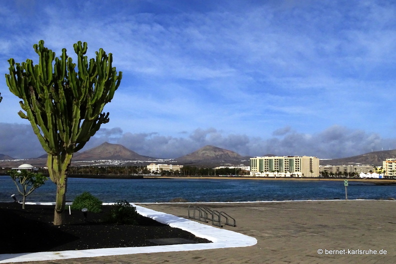 24-02-10-arrecife-078.JPG