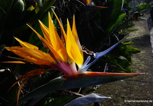 24-12-30-barlovento- (60)