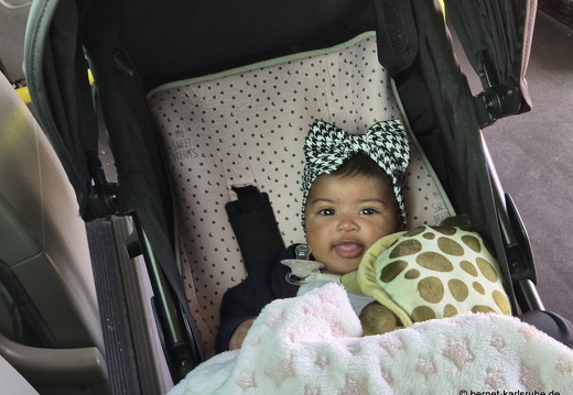 25-02-11-barlovento-busfahrt-028