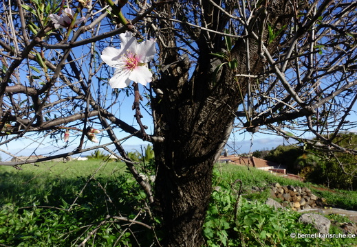 25-01-30-puntagorda-041