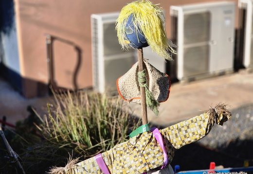 25-01-30-puntagorda-045