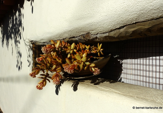 25-01-30-puntagorda-061