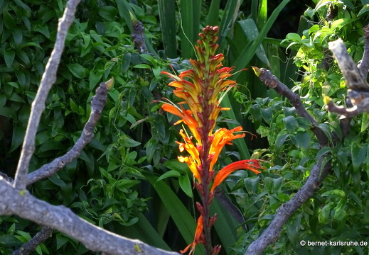 25-01-30-puntagorda-093