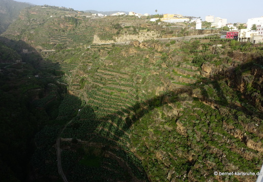 24-12-18-los sauces-038