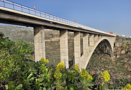 24-12-18-los sauces-049