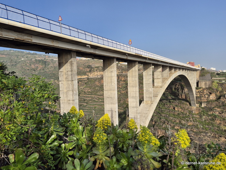 24-12-18-los sauces-049.jpg