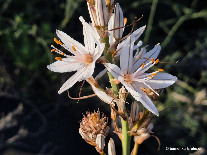 25-01-16-el paso-022.jpg