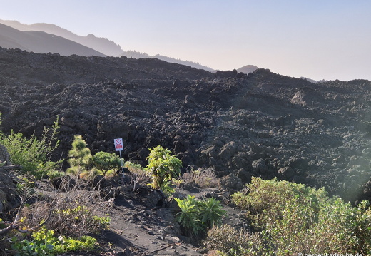 25-01-16-el paso-vulkan-tajogaite-045