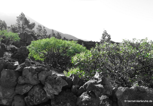 25-01-16-el paso-vulkan-tajogaite-076