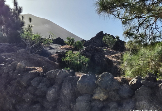 25-01-16-el paso-vulkan-tajogaite-096