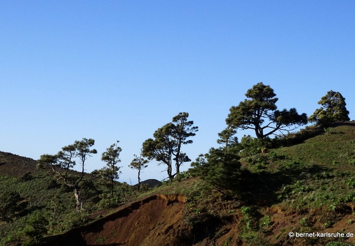 25-01-09-fuencaliente-028