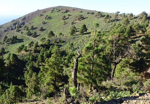 25-01-09-fuencaliente-035