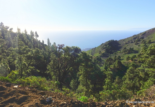 25-01-09-fuencaliente-036