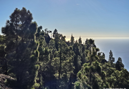 25-01-09-fuencaliente-038