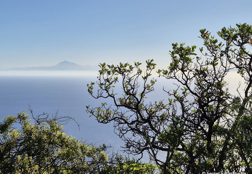 25-01-09-fuencaliente-087