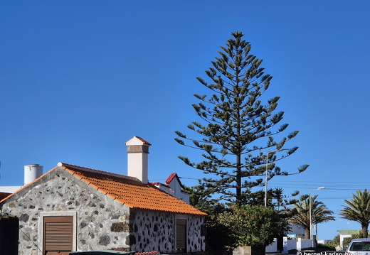 25-01-09-fuencaliente-106