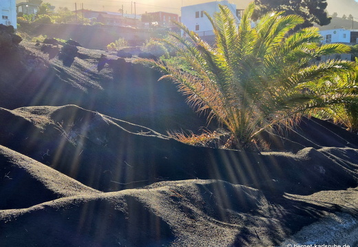 25-01-14-las manchas-030