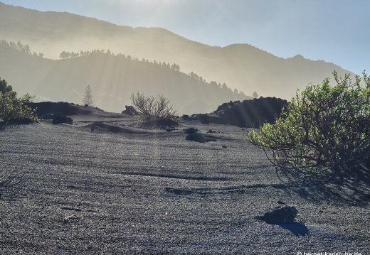 25-01-14-las manchas-035