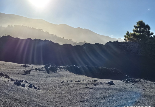 25-01-14-las manchas-036