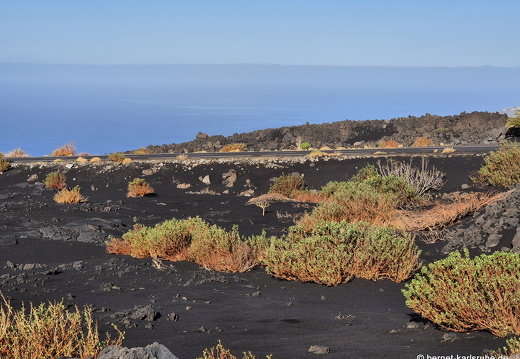 25-01-14-las manchas-041