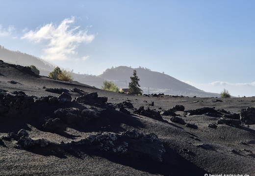 25-01-14-las manchas-042