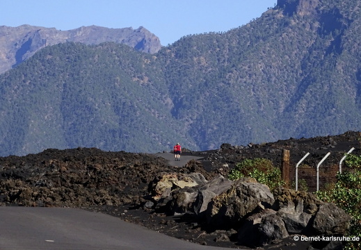 25-01-14-las manchas-045