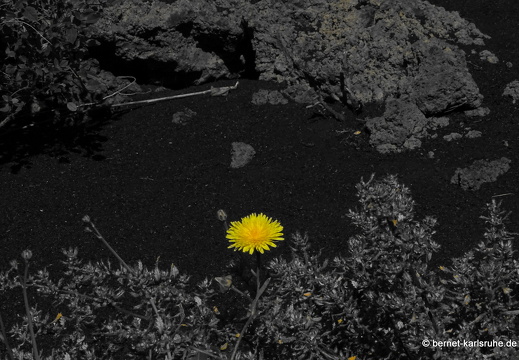 25-01-14-las manchas-046