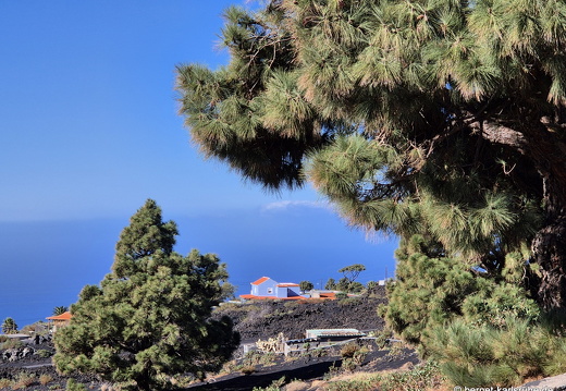 25-01-14-las manchas-047