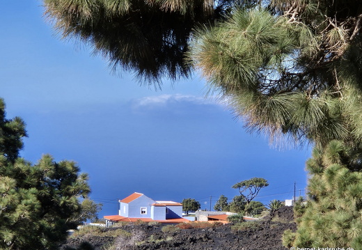 25-01-14-las manchas-048