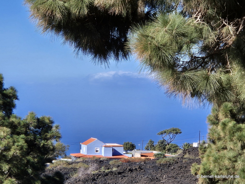 25-01-14-las manchas-048.jpg